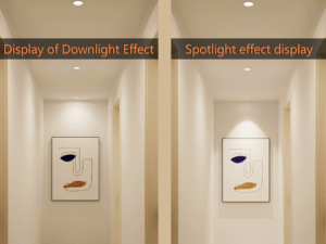 The difference between downlights and spotlights